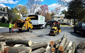 Best Lawn Drainage Solutions  in Mooreland, OK