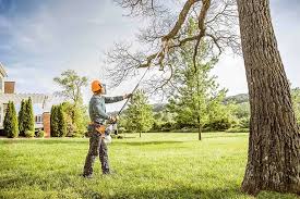 Best Soil Testing and Treatment  in Mooreland, OK
