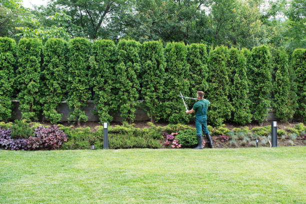 Best Lawn Mowing  in Mooreland, OK