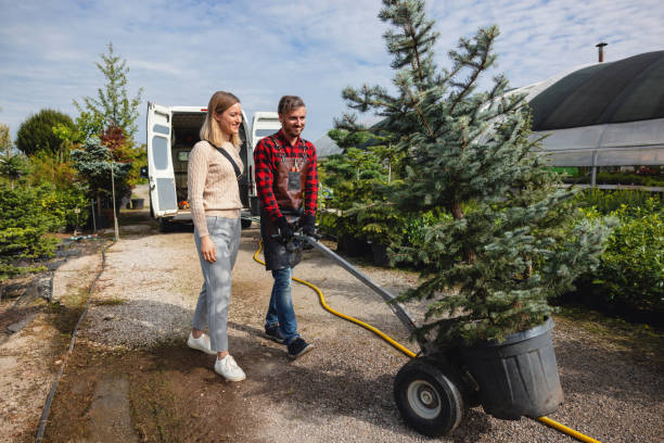 Best Tree Health Inspection  in Mooreland, OK